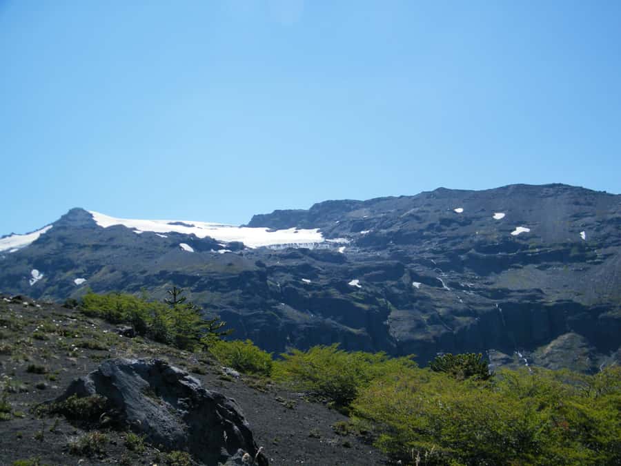 Conguillío National Park Tour, Full day - Key points to know before booking