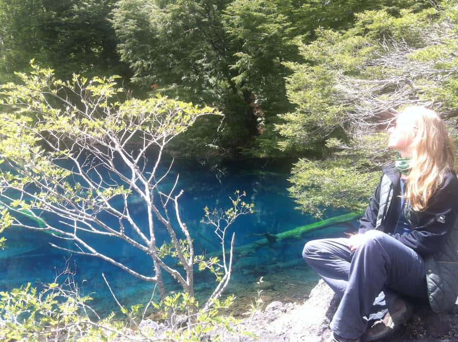 Conguillío National Park Tour, Full day - Short walks beside waterfalls and lagoons