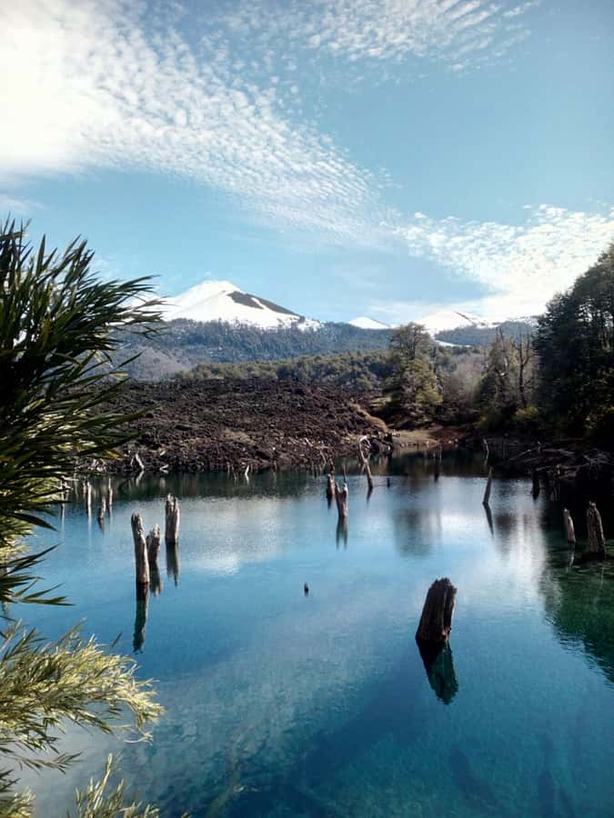 Conguillío National Park Tour, Full day - Lake Conguillío and snack time