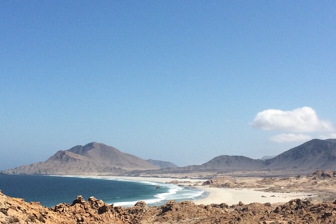 Costa DE Desierto Atacama : La Serena-Llanos del Challe-Pan de Azucar - Why this route is worth the very long day