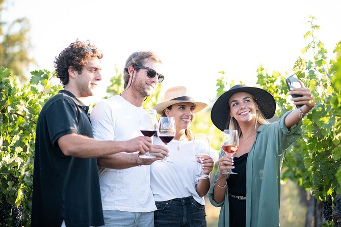 Cousino Macul Private Vineyard Tour with 6 Wine Tastings - Key Points at a Glance