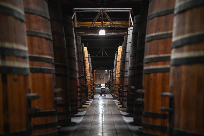 Cousino Macul Private Vineyard Tour with 6 Wine Tastings - Three Wines During the Vineyard Visit