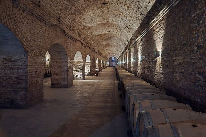 Cousino Macul Private Vineyard Tour with 6 Wine Tastings - What the $149 Price Really Covers