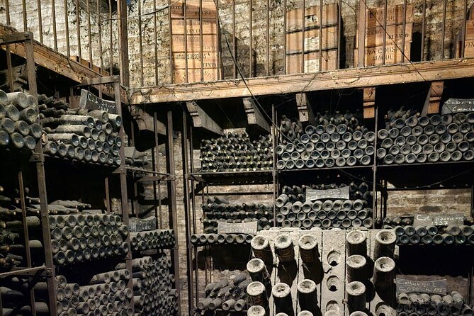 Cousino Macul Private Vineyard Tour with 6 Wine Tastings - The Souvenir Glass and Winery Shop