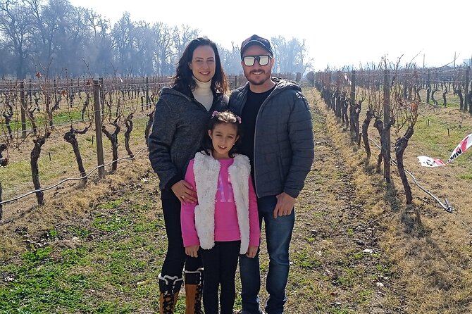 Cousiño Macul Vineyard - Maipo Valley - Premium Tasting - HD - Why Cousiño Macul works well from Santiago