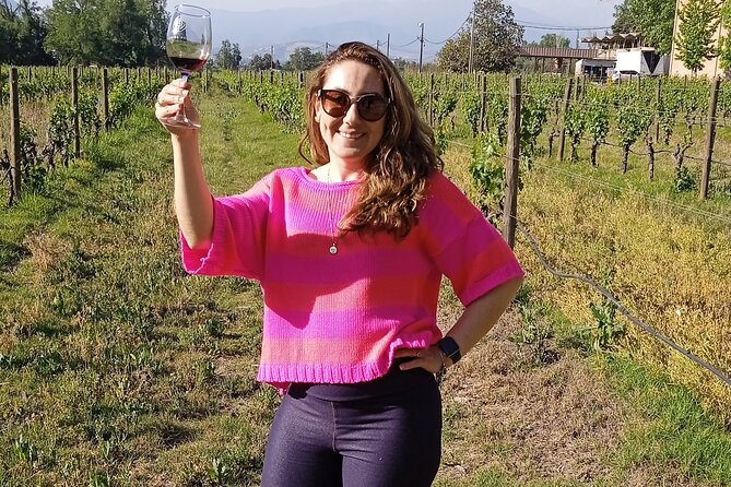 Cousiño Macul Vineyard - Maipo Valley - Premium Tasting - HD - The ride to Viña Cousiño Macul