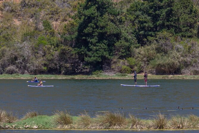 Crossing the Salt Route on a Rowing Surfboard - Why the Cahuil salt route is worth your time