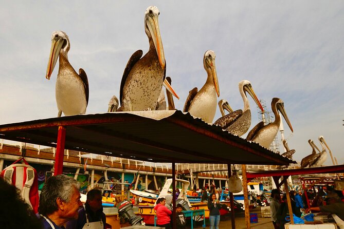 Cruise Ship Transfer to Valparaiso Port with 6 Hour tour + Winery - Valparaiso: hills, stories, and colorful homes