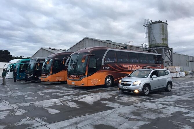 Cruise Shore Private Excursion Osorno Volcano & Petrohué Falls - Timing, fitness, and what to bring