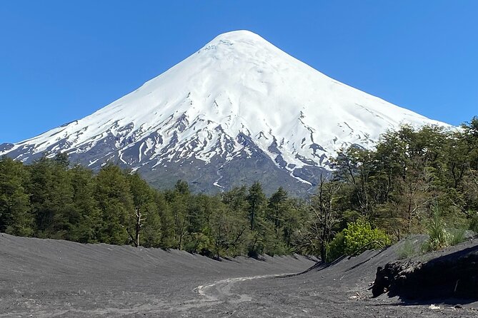 Cruise Shore Private Excursion Osorno Volcano & Petrohué Falls - Who should book this six-hour excursion?