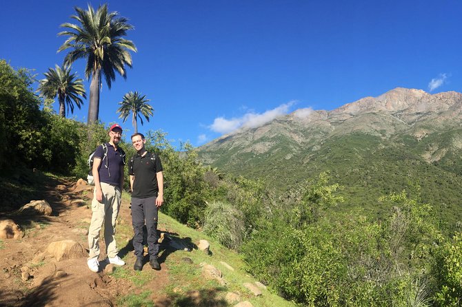 Darwin's Route: Traversing the Chilean Palm Forest - From Santiago to La Campana National Park