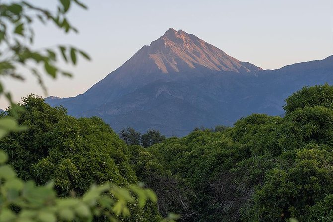 Darwin's Route: Traversing the Chilean Palm Forest - Ocoa Hill pass and the lunch break