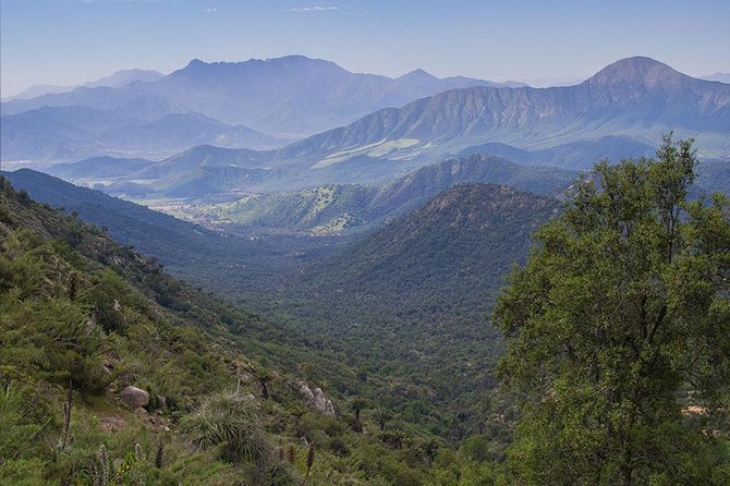 Darwin's Route: Traversing the Chilean Palm Forest - Final verdict: a strong choice for an active day outside Santiago