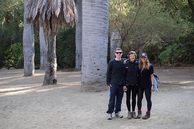 Darwin's Route: Traversing the Chilean Palm Forest - Walking through the Palmar de Ocoa
