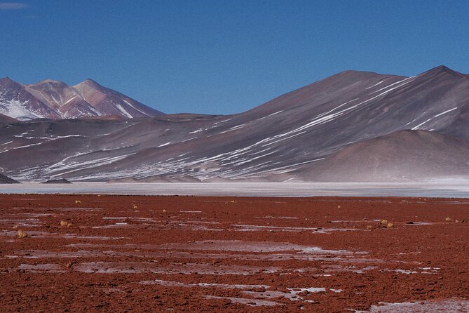 Day Tour to Piedras Rojas and Altiplanic and Chaxa Lagoons - Why this Atacama day tour works so well