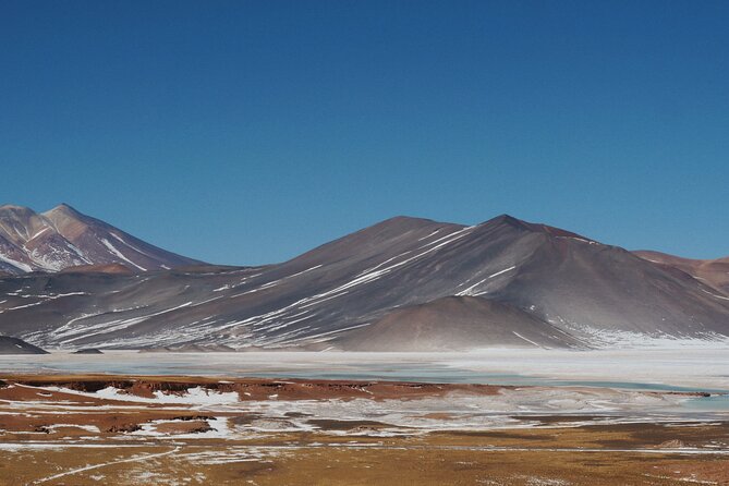 Day Tour to Piedras Rojas and Altiplanic and Chaxa Lagoons - Flamingos inside the national reserve