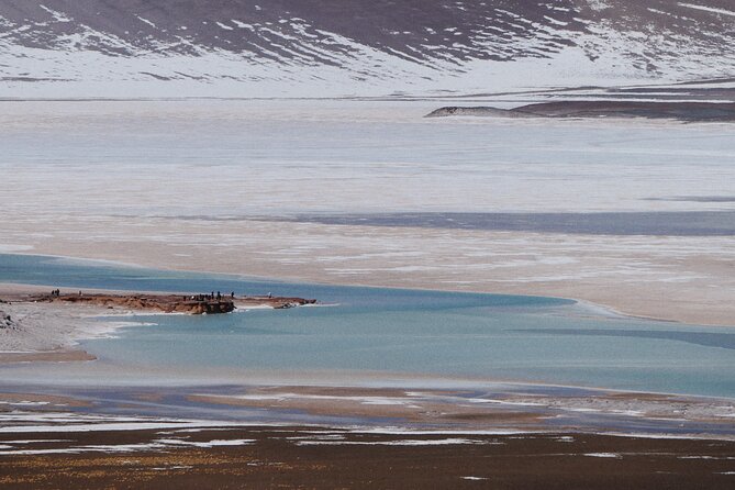 Day Tour to Piedras Rojas and Altiplanic and Chaxa Lagoons - Altiplanic lagoons above 4,000 meters