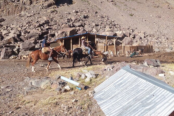Day Trip Cajón del Maipo Embalse del Yeso Hot Springs Adventure - What the private format adds