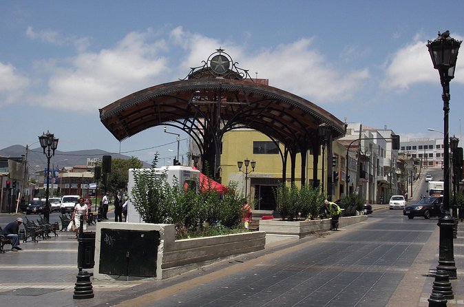 Discover Coquimbo : an unforgettable tour - Practical planning for the bus terminal start