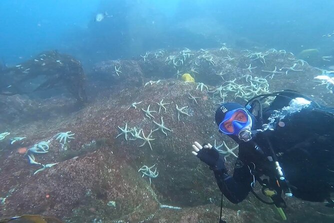Diving excursion in Quintay - Reaching Quintay from Valparaíso