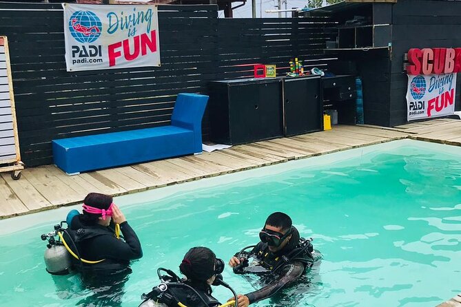 Diving excursion in Quintay - A personal guide changes the mood