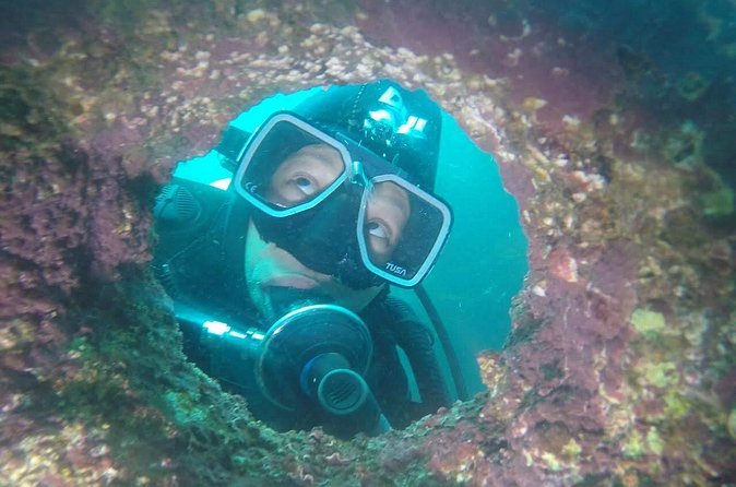 Diving excursion in Quintay - Recovering with an outdoor meal and wine