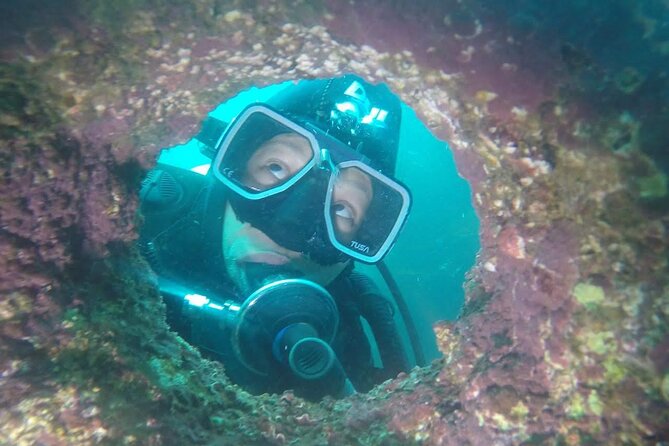 Diving excursion in Quintay - Is $250 a fair price?