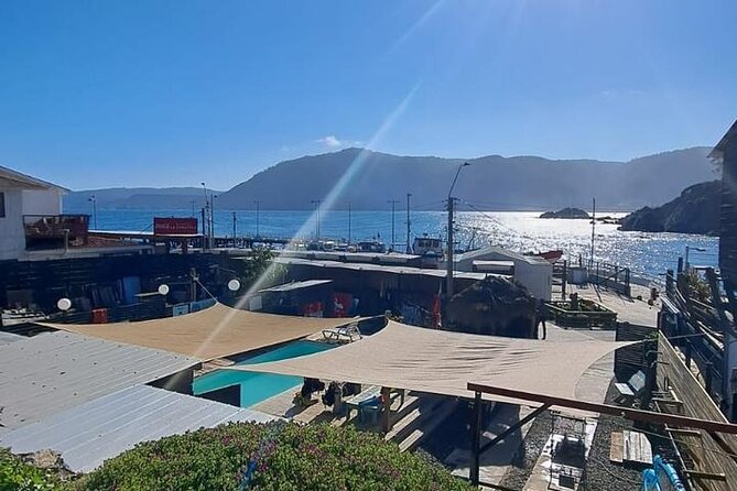 Diving excursion in Quintay - Who will enjoy this most?