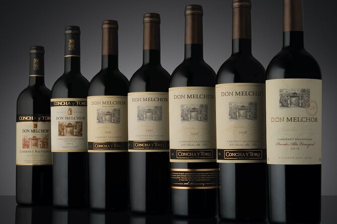 Don Melchor Premium Wine tour - Tasting the Puente Alto parcels