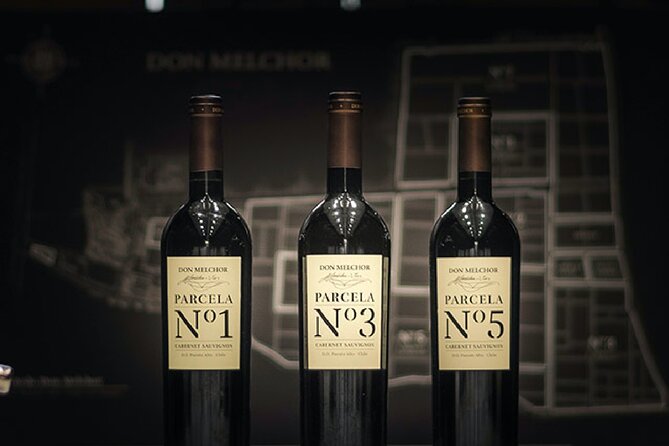 Don Melchor Premium Wine tour - The Don Melchor Collection Room