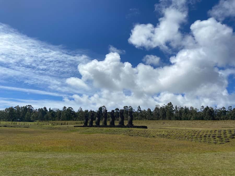 Easter Island: 2 Full Days Private Tour - Practical details that affect your experience