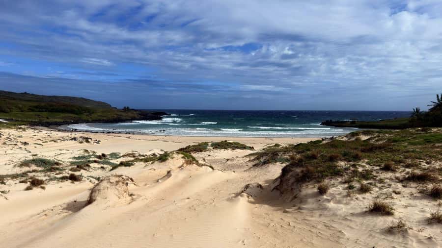 Easter Island: Full-Day Tour to Anakena - Rano Raraku, the Quarry That Explains the Moai