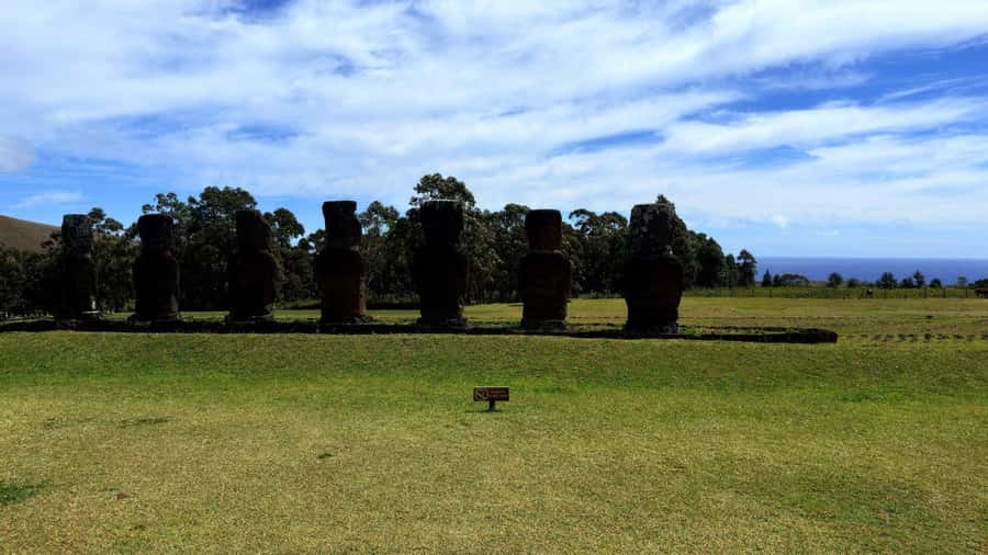 Easter Island: Half-Day Archaeology Tour - Ahu Akivi and the seven statues facing the ocean