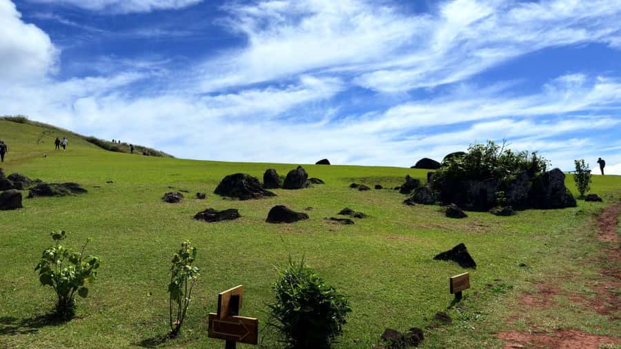 Easter Island: Half-Day Archaeology Tour - Ahu Huri a Urenga and the island’s interior