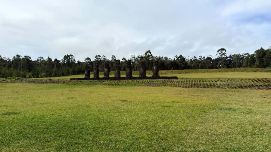 Easter Island: Half-Day Archaeology Tour - Ahu Tahai and the first look at a moai