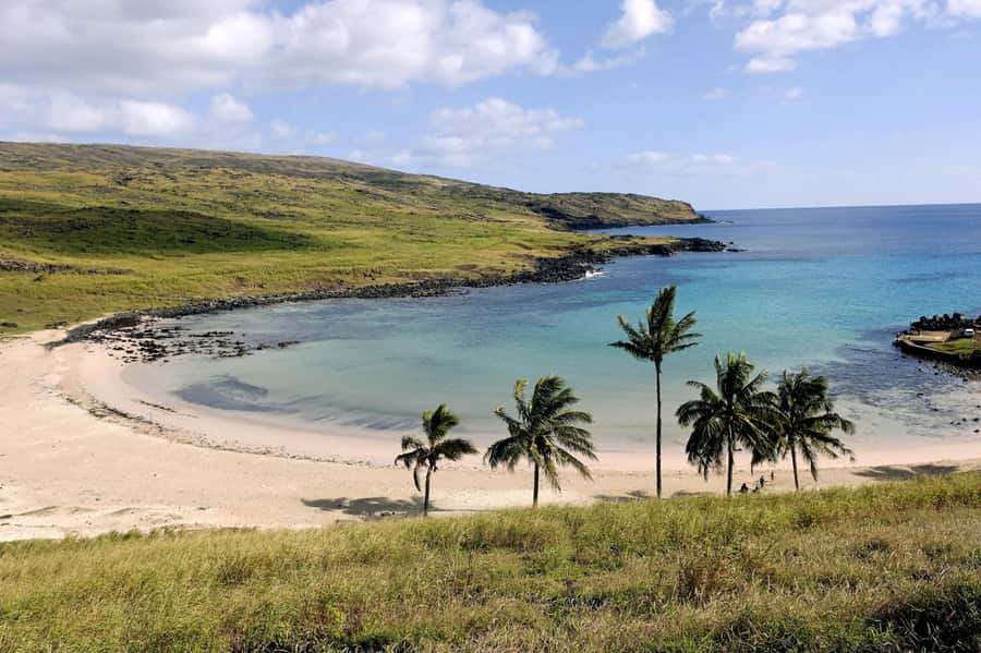 Easter Island: Private Full Day History Of The Moai - Ahu Akahanga and the story of fallen Moai