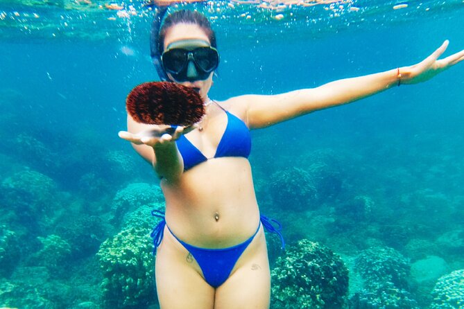 Easter Island Snorkeling on Coral Reefs - Three Hours, Private Transportation, and a Small Group