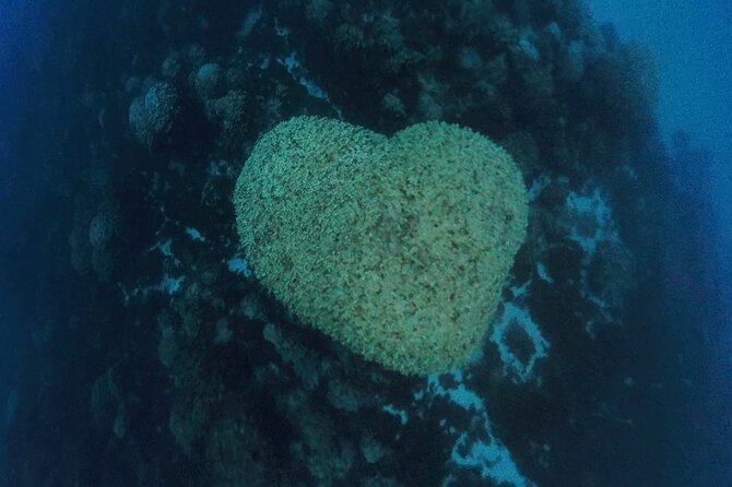 Easter Island Snorkeling on Coral Reefs - Safety Rules That Shape the Experience
