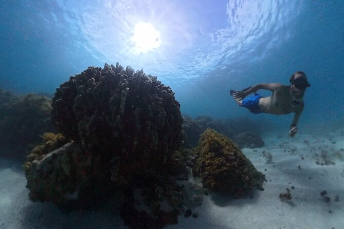 Easter Island Snorkeling on Coral Reefs - Is $100 a Fair Price?