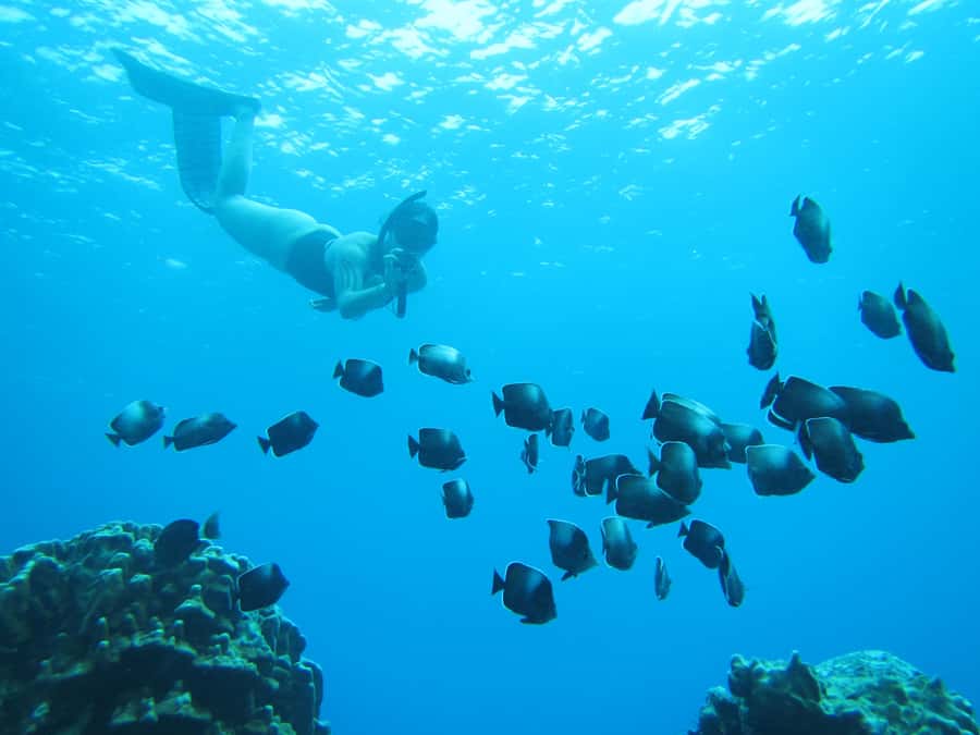 Easter island: Snorqueling tour on coral reefs - Getting ready with a short wetsuit and safety briefing