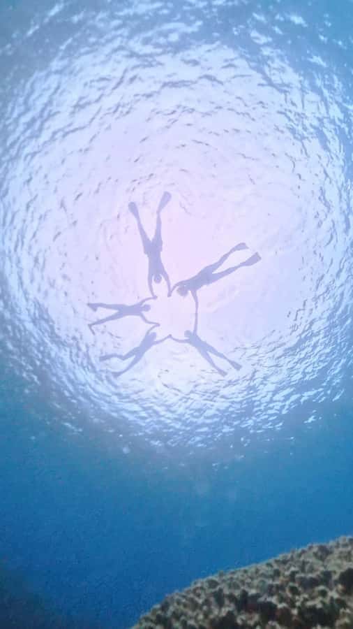 Easter island: Snorqueling tour on coral reefs - From Hanga Roa to the coast by jeep