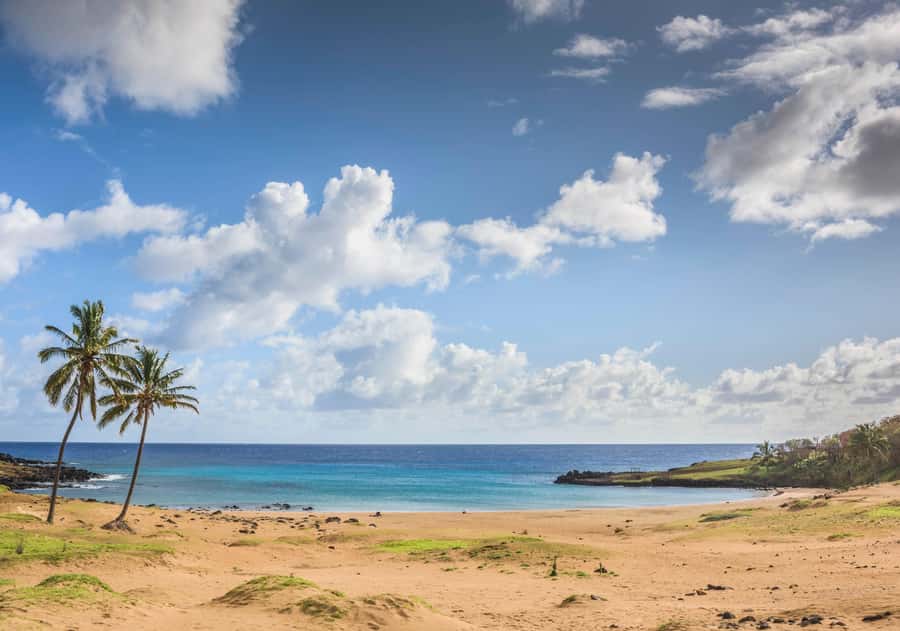 Easter Island: The Moai Trail Private Archeological Tour - Ahu Tongariki and its fifteen moai