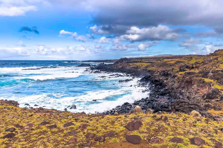 Easter Island: The Moai Trail Private Archeological Tour - Anakena Beach and Ahu Nau Nau