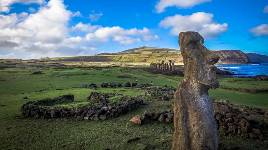 Easter Island: The Moai Trail Private Archeological Tour - Who should book the Moai Trail