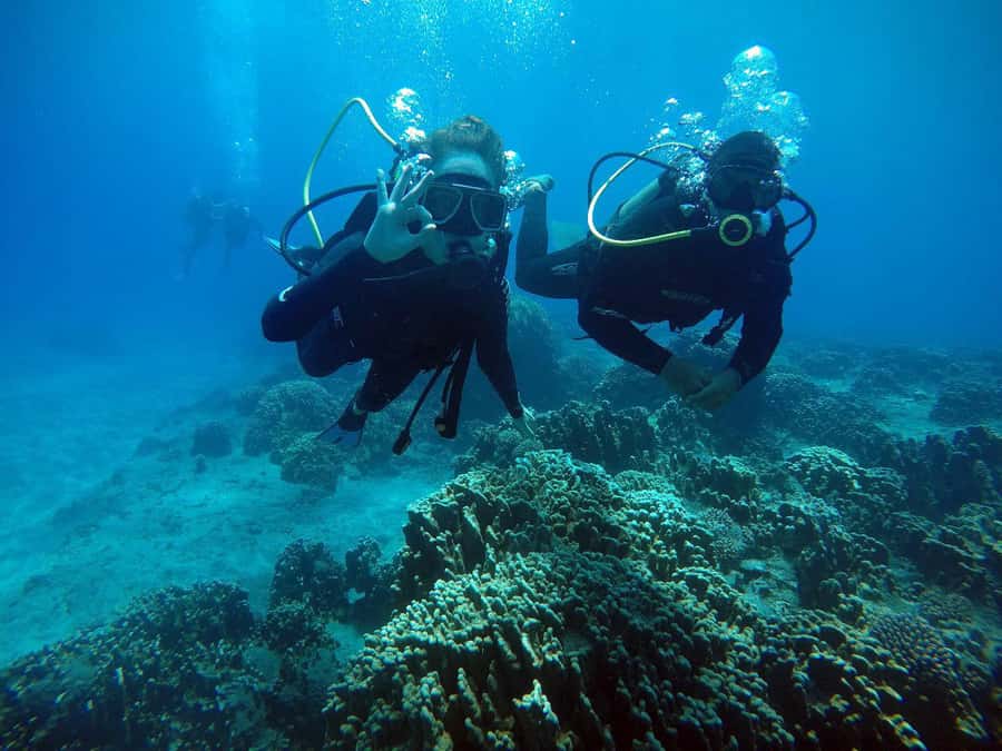 Easter Island: Tropical Diving - Key points before you book