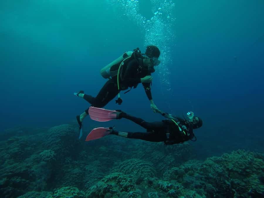 Easter Island: Tropical Diving - Getting to the site by boat or vehicle