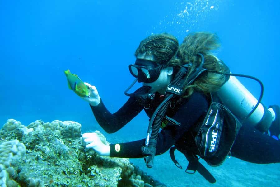 Easter Island: Tropical Diving - Starting at Hanga Piko cove