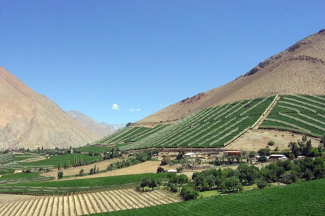 Elqui Valley and Vicuna Private Tour Including Lunch - Why the Elqui Valley makes a fine day out