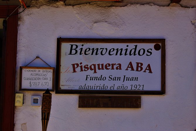 Elqui Valley and Vicuna Private Tour Including Lunch - Papayas Yanez on the return route