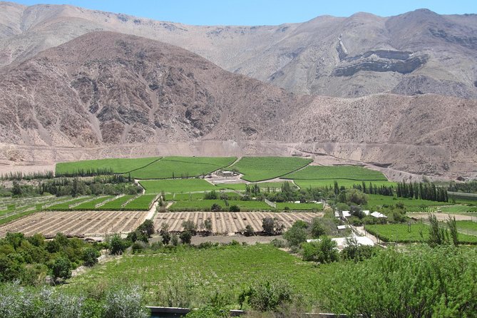 Elqui Valley and Vicuna Private Tour Including Lunch - Puclaro Reservoir and the value of water